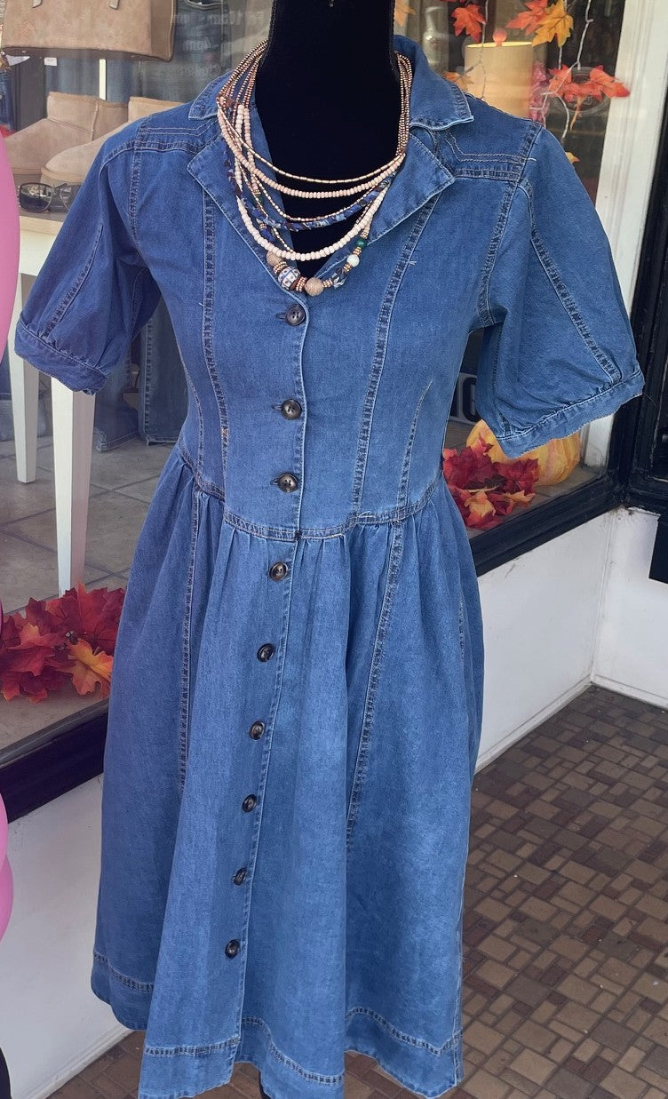 Umgee Denim Dress