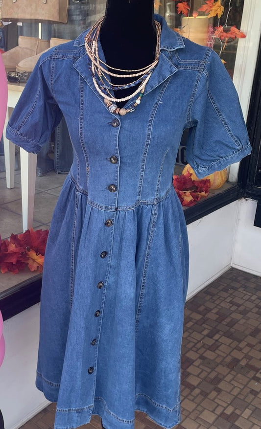 Umgee Denim Dress